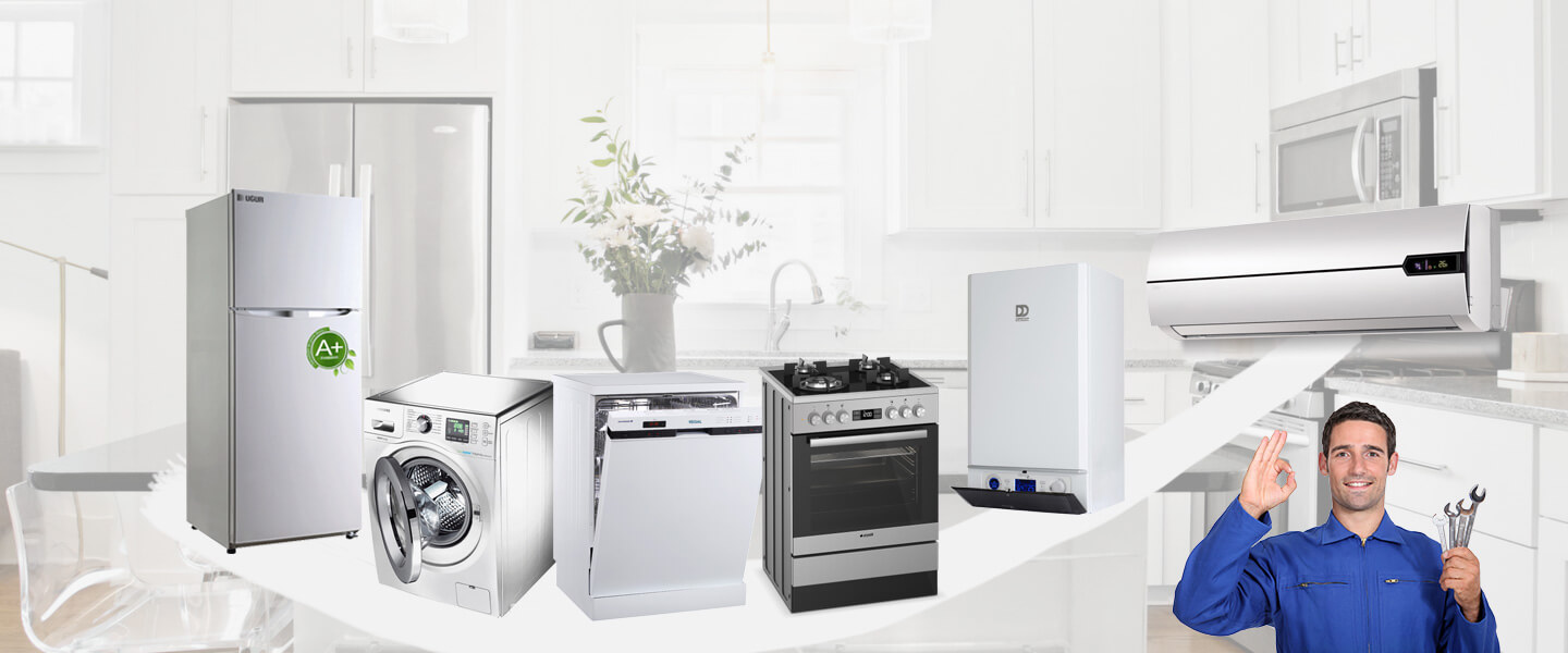 Kuyucak Windsor Servisi